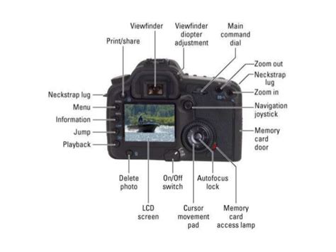 Canon Eos 1100d Functions Secondary Education Resource