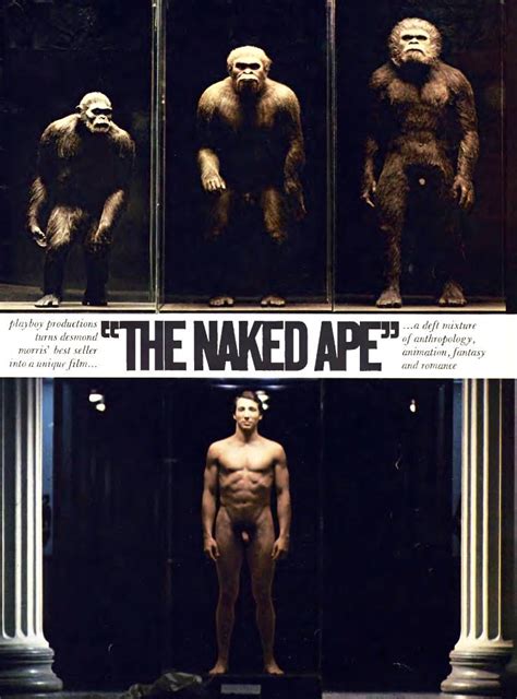 The Naked Ape September 1973 Pipe And PJs Pictorials