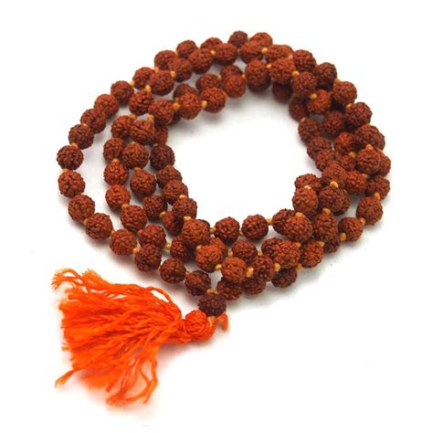 Рудракша (78 фото) » НА ДАЧЕ ФОТО