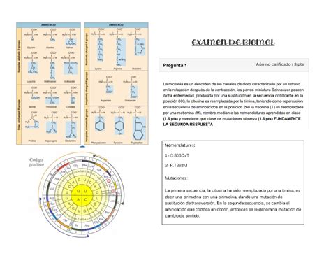 Examen De Biomol Parcial Examen De Biomol Nomenclaturas C T