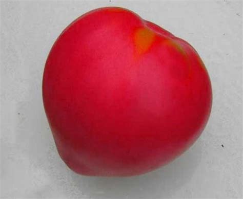 Овощи :: Томат :: Детерминантные томаты, сорта :: Томат Dwarf Pink ...