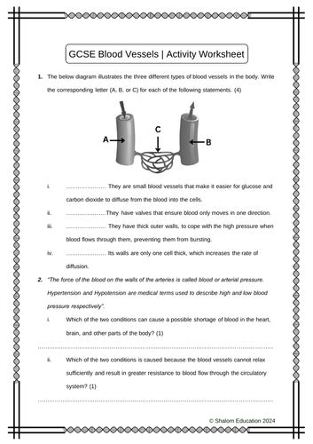 Gcse Biology Blood Vessels Activity Worksheet Teaching Resources