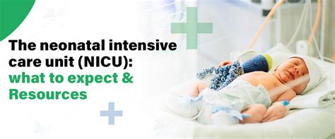 The Neonatal Intensive Care Unit Nicu What To Expect And Resources