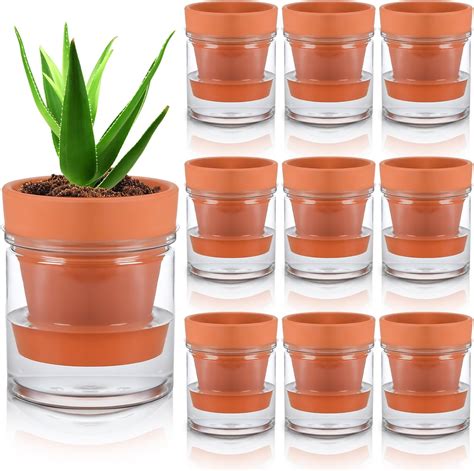 Amazon Nuogo Pcs Terracotta Self Watering Pot Inch Self