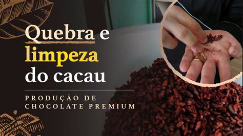 Quebra E Limpeza Das Am Ndoas De Cacau Chocolate Premium Youtube