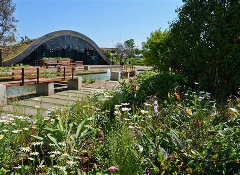 Green Oasis Pocket Park landscape architecture — Nilufer Danis