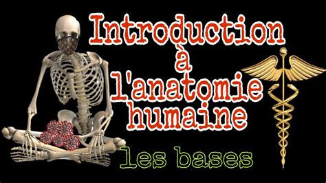 introduction à l anatomie humaine plans axes terminologie et référence