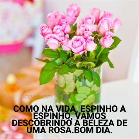 32 Mensagens de Bom Dia com Flores para um Amanhecer mais Lindo