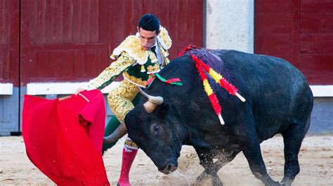 El Gobierno Acata El Fallo Del Supremo E Incluir Los Toros En El Bono