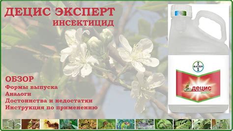 Инсектицид Децис - мощное средство от вредителей, требующее аккуратного ...
