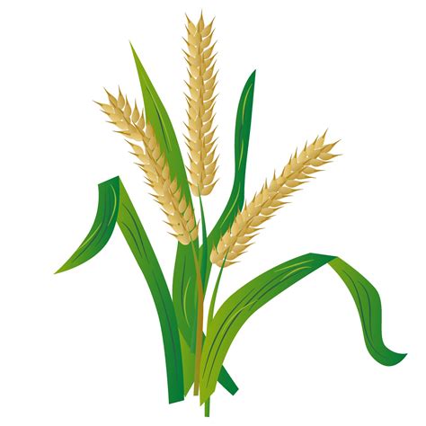 Wheat Crops Clipart