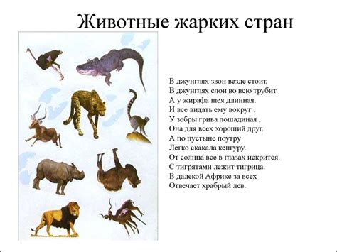 Животные жарких стран - презентация онлайн
