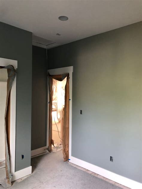 Greyhound Paint Color An Exploration Of The Hues Of Classic Gray