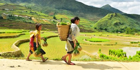 El Subdesarrollo En America Latina Quien