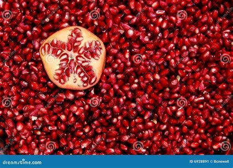 Red Pomegranate Seeds Stock Image - Image: 6928891