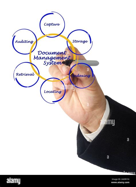 diagram  knowledge management system stock photo alamy
