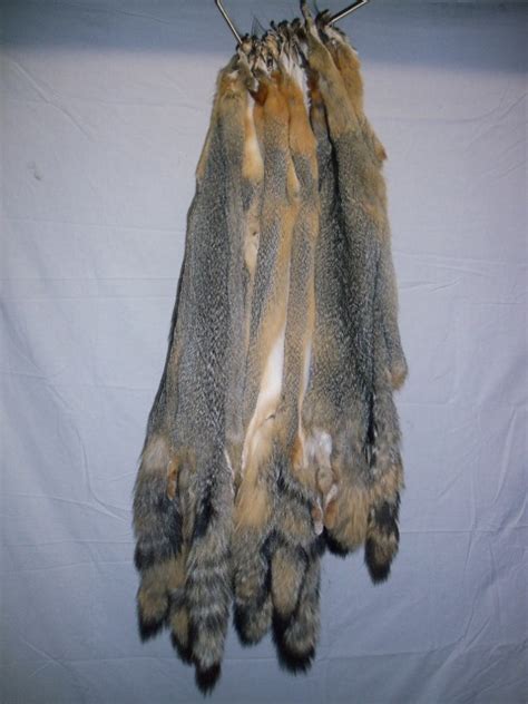 Western Grey Fox Tanned Fur