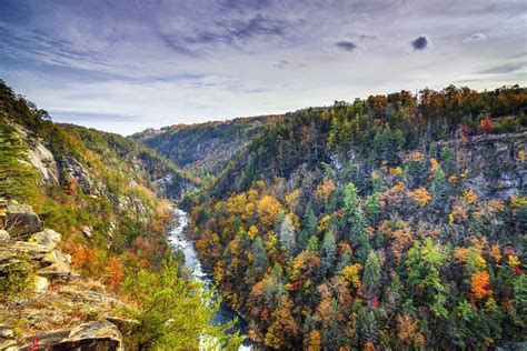 15 Most Beautiful Places to Visit in Georgia (USA) - The Crazy Tourist