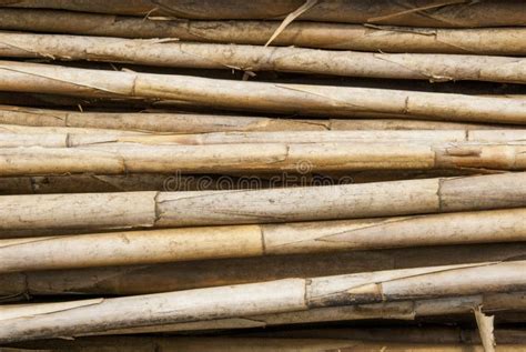 Bamboo Timber Construction Material Stock Photo - Image of pattern ...