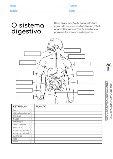 Atividades Sobre órgãos Do Corpo Humano Para Imprimir