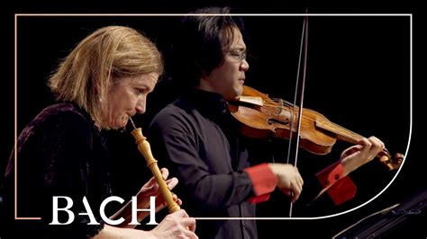 Bach Concerto For Oboe And Violin In C Minor Bwv 1060r Black And Sato Netherlands Bach