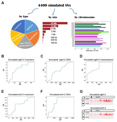 generation  svs collection  benchmarking sv callers  sv types