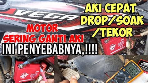 Penyebab Aki Motor Vega Force Cepat Drop Aki Gak Mau Ngisi Selalu