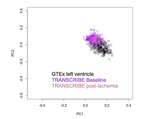 Sex Differences In Gene Expression In Response To Ischemia In The Human Left Ventricular