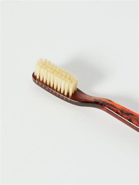 Good Neighbour | C.O. Bigelow Natural Bristle Toothbrush (Tortoise)