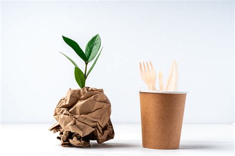 5 Fascinating Paper Recycling Facts & Stats - Metropolitan