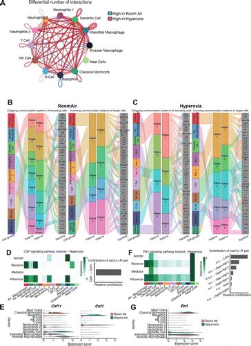 Remarkable Sex Specific Differences At Single Cell Resolution In