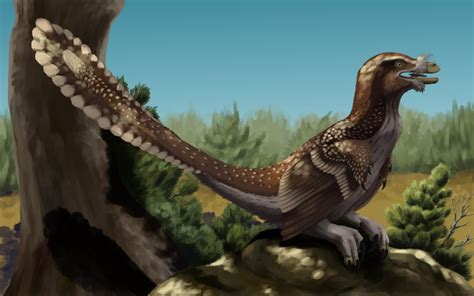 desert velociraptor  medenadragon prehistoric animals paleontology