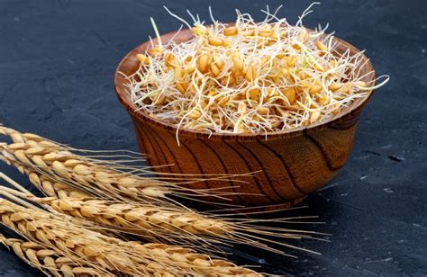 Wheat Sprouts Benefits, Nutrition & How To Eat Them?