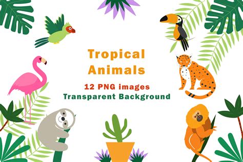 Tropical Animals and Plants Illustration Graphic by Dreamy Art ...