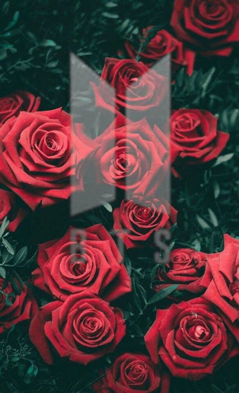 Pin on wallpaper | Red roses wallpaper, Rose wallpaper, Flowers photography