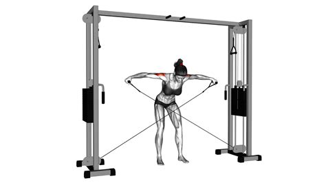 Cable Cross Over Reverse Fly Female Exercise Guide And Tips