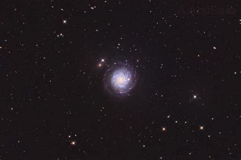 Ngc 3344 An Incredible Face On Barred Spiral Galaxy Ashraf Abusara