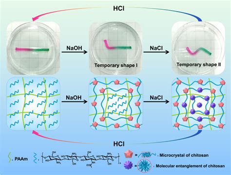 The Process And Mechanism Of The Programmable Triple Shape Memory And