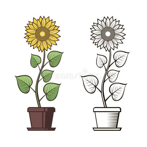 Girassol Em Um Vaso De Flores ícone Liso Estilo Dos Desenhos Animados