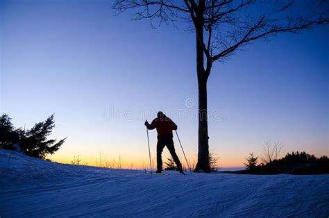 Cat skier in snow stock photo. Image of skier, warm - 120529670