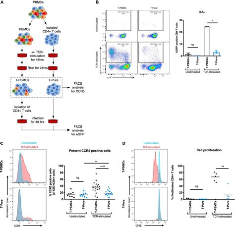 Frontiers Cell Extrinsic Priming Increases Permissiveness Of Cd4 T