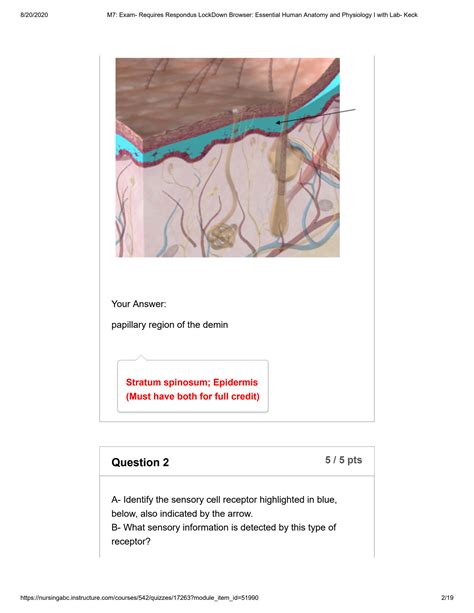 SOLUTION M7 Exam Requires Respondus Lockdown Browser Essential Human