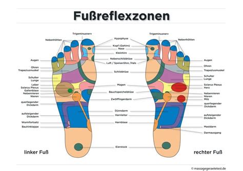 Fußreflexzonenmassage ⇒ Ratgeber And Infografik Fußreflexzonen