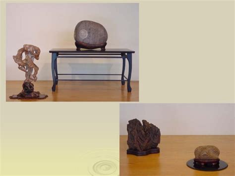 Asian Tradition in Stone Appreciation-- an exhibit in Washington DC USA