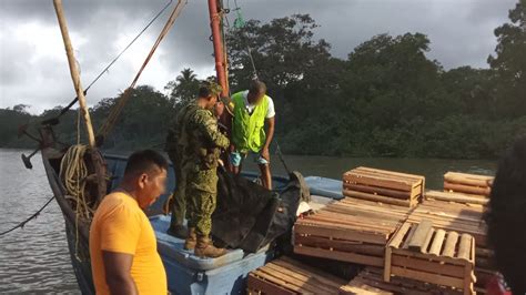 Madera Talada Ilegalmente Fue Recuperada