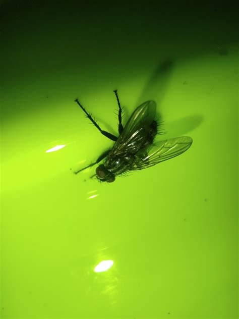 Phyto from Краснодарский край, Россия, 350912 on November 5, 2022 at 09 ...