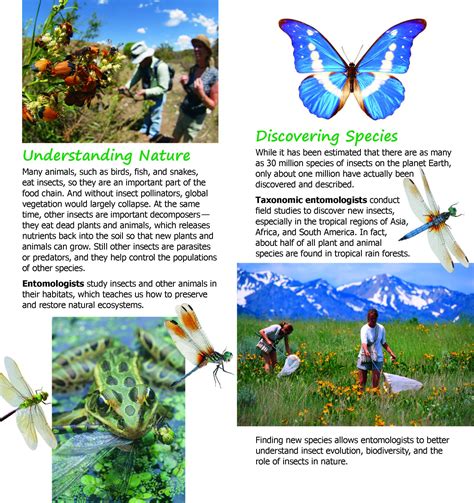 Department Of Entomology College Of Natural And Agricultural Sciences