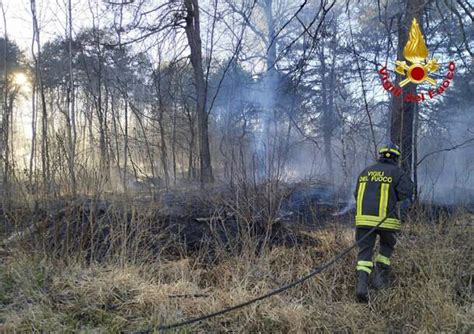 Incendio Nel Parco Delle Groane Fiamme In Metri Quadri Di Bosco