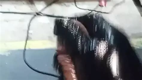 Duke Baby Gay Porn Creator Videos Free Amateur Nudes Xhamster