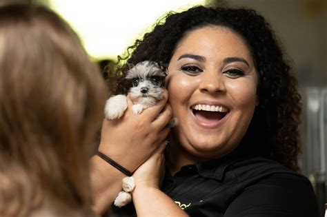 petland memphis photos 5